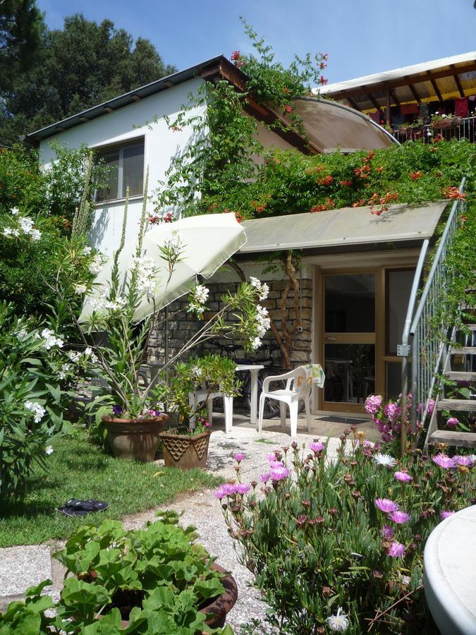 Aparthotel Casa Furrer Tirrenia Exterior foto